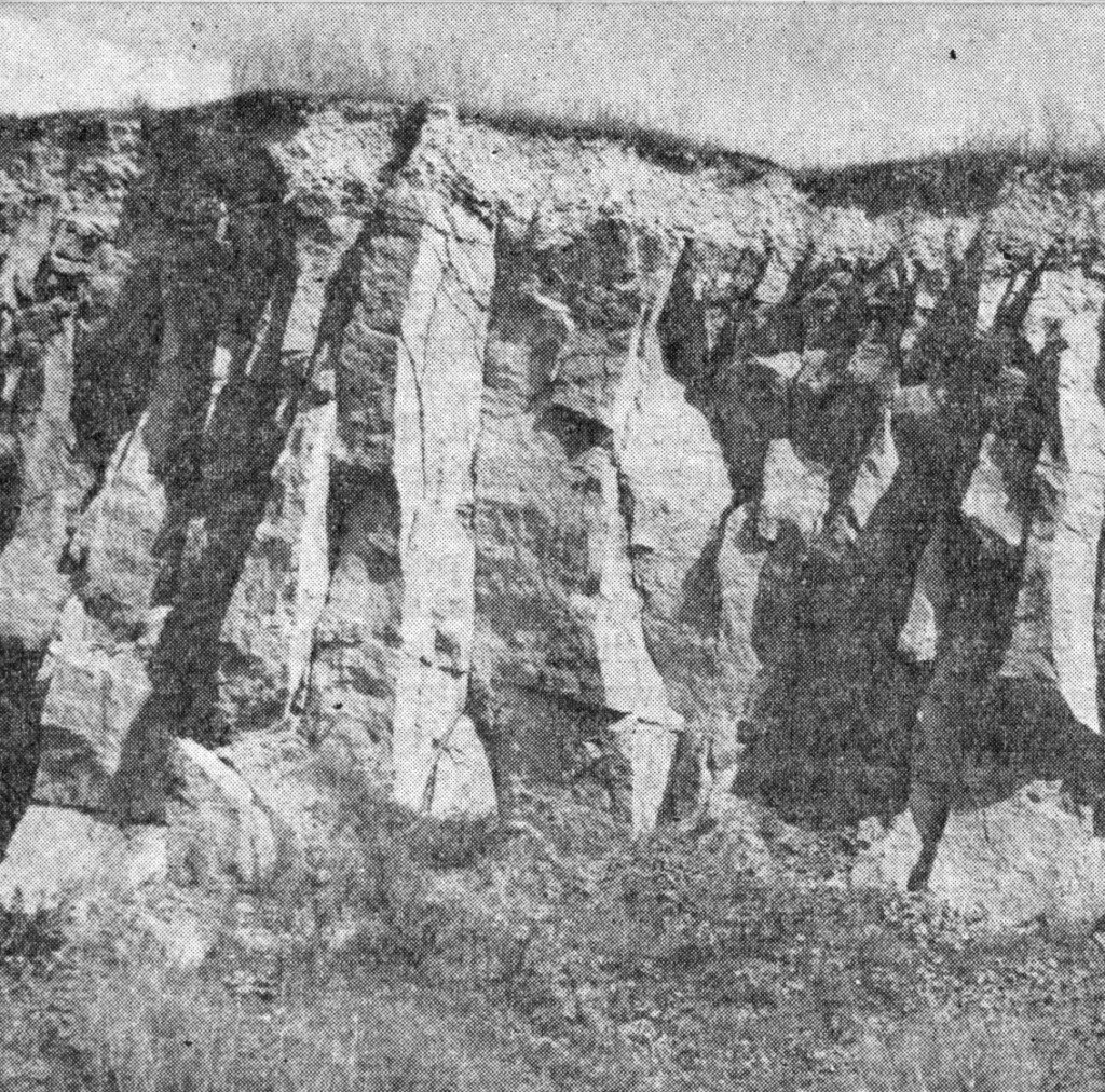 Ściana kamieniołomu z tufami filipowickimi znajdująca się na północ od wsi Filipowice. Fot. archiwum prywatne Autora.